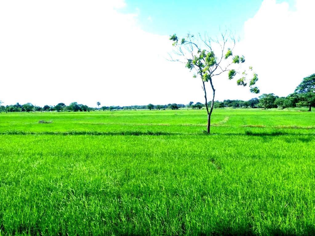 Athyantha Resort Anuradhapura Esterno foto