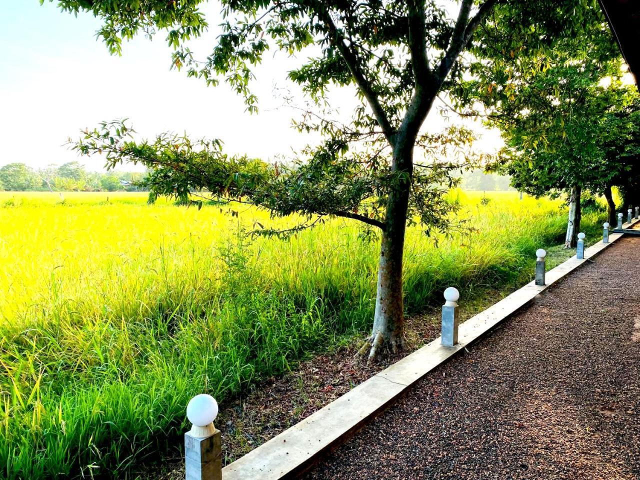 Athyantha Resort Anuradhapura Esterno foto