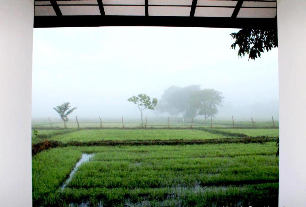 Athyantha Resort Anuradhapura Esterno foto